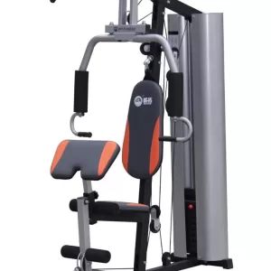 WTH68 Single Station Gym (Techno Fitness Brand)