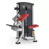 IT9503 Arm Curl (Impulse Brand)