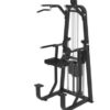 LD8009 CHIN DIP WITH WEIGHT ASSIST (Litefiness Brand)