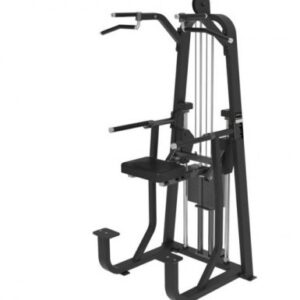 LD8009 CHIN DIP WITH WEIGHT ASSIST (Litefiness Brand)