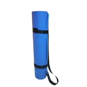 TD103Y TPE Yoga mat with moisture Resistance (Blue Colour)