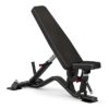 Sole Fitness Multi-Angle Ab Utility bench (SFI-100)