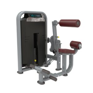 DFT1695 Commercial Abdominal Crunch & Back Extension Machine