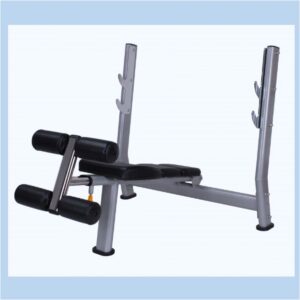 WT-A51 DECLINE WEIGHT BENCH (PREMIUM)