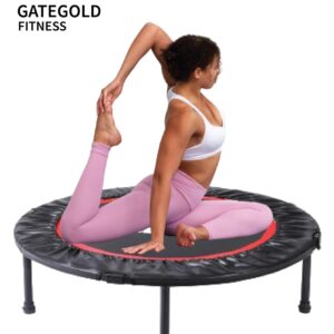TP100 Mini Trampoline (Diameter 100cm)