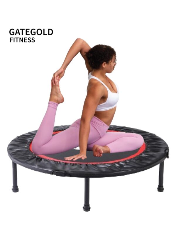 TP100 Mini Trampoline (Diameter 100cm)