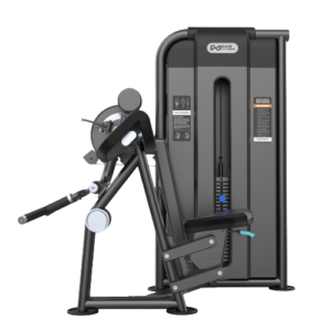 U2087C Camber Curl & Triceps (Arm Curl)