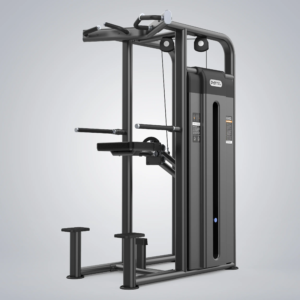 U2009C Dip Chin Assist (DHZ Brand)